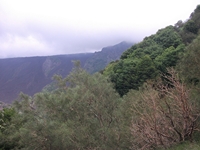 nte Rinatu-20110615 069